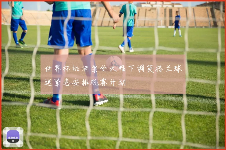世界杯机酒票价大幅下调英格兰球迷紧急安排观赛计划